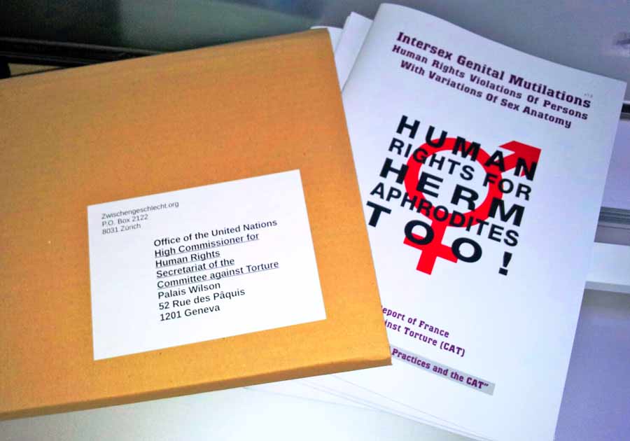 CAT_FR_20160329_143127_x.jpg, Apr 2016