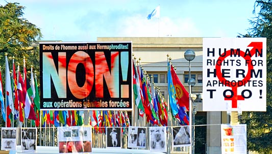 UNO_Geneva_0044_xr.jpg, Mar 2013